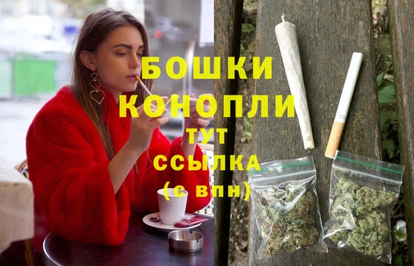 хмурый Арсеньев