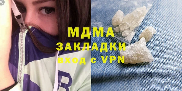 хмурый Арсеньев