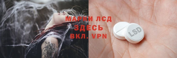хмурый Арсеньев