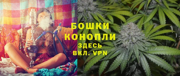 хмурый Арсеньев
