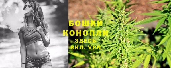хмурый Арсеньев
