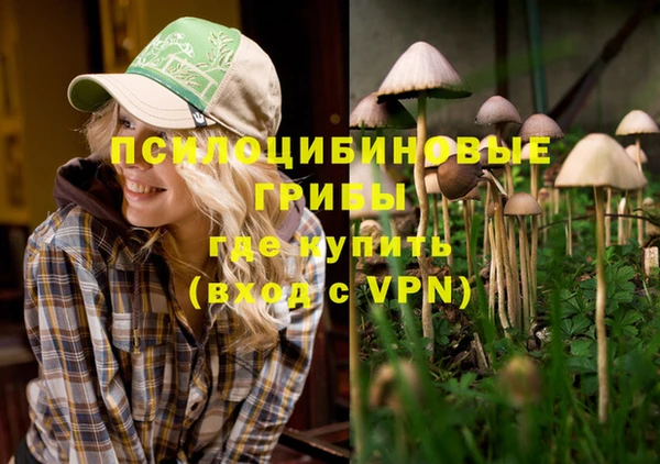 хмурый Арсеньев