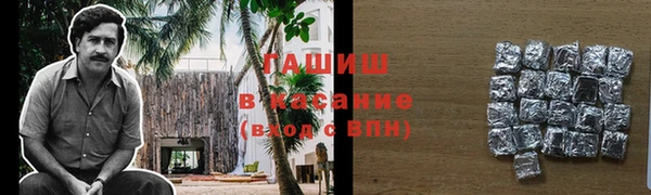 хмурый Арсеньев