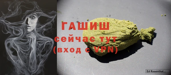хмурый Арсеньев