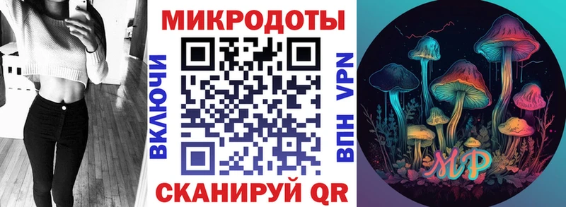 наркота  Колпашево  Галлюциногенные грибы Psilocybine cubensis 